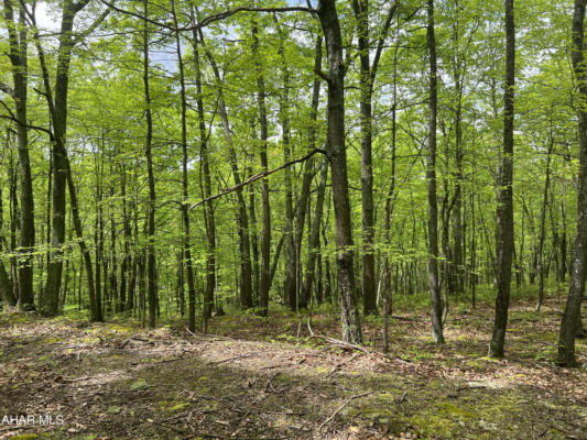 LOT 25 JEREMIAH WAY, CLEARVILLE, PA 15535 - Image 1