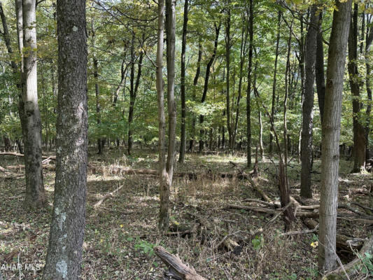 LOT 3 GLADE PIKE ESTATES, MANNS CHOICE, PA 15550, photo 2 of 9