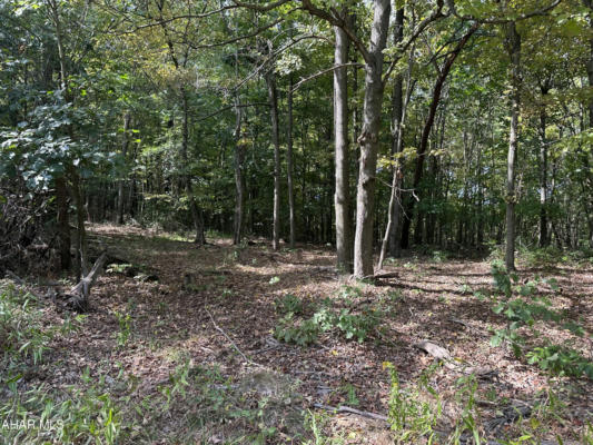 LOT 5 GLADE PIKE ESTATES, MANNS CHOICE, PA 15550, photo 2 of 8