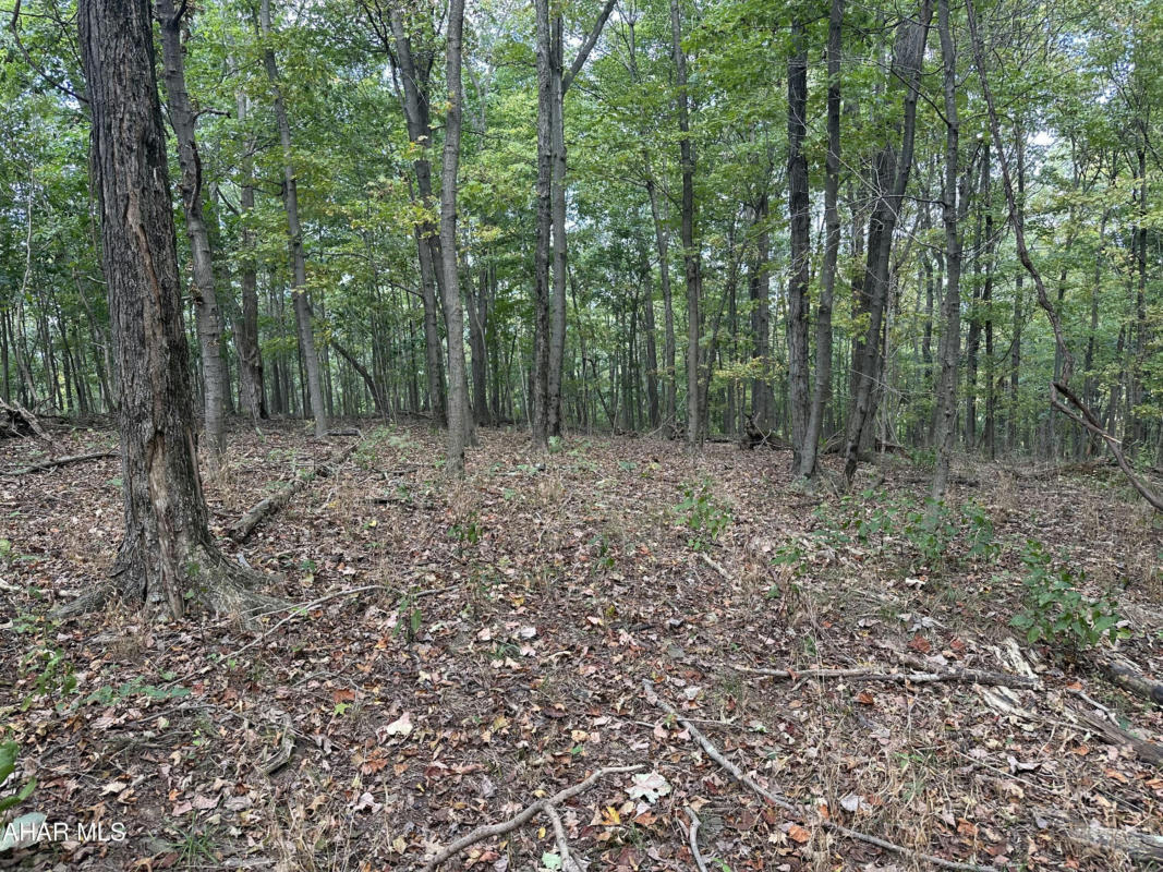 LOT 4 GLADE PIKE ESTATES, MANNS CHOICE, PA 15550, photo 1 of 8