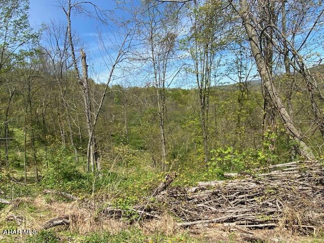 LOT 6 POLECAT HOLLOW ROAD, HOPEWELL, PA 16650, photo 1 of 23
