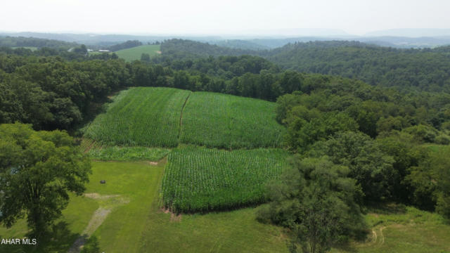 TRACT 4 EAST GRACEVILLE ROAD, BREEZEWOOD, PA 15533 - Image 1