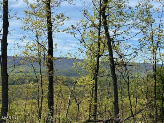 LOT 6 POLECAT HOLLOW ROAD, HOPEWELL, PA 16650, photo 3 of 23