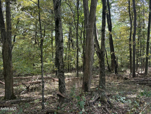 LOT 1 GLADE PIKE ESTATES, MANNS CHOICE, PA 15550, photo 4 of 8