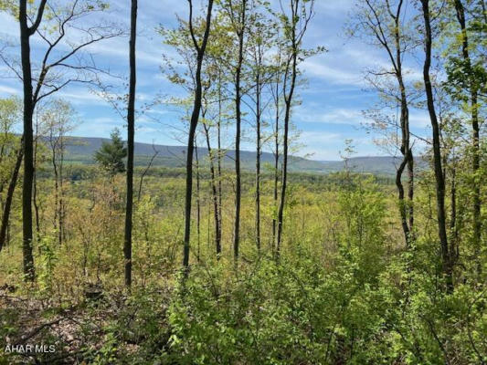 LOT 6 POLECAT HOLLOW ROAD, HOPEWELL, PA 16650, photo 4 of 23