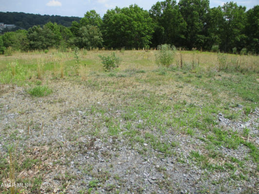 LOT 68 HUNTERS PASS DRIVE, DUNCANSVILLE, PA 16635 - Image 1