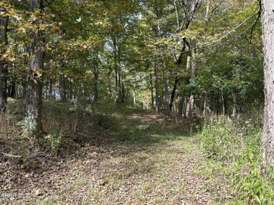 LOT 3 GLADE PIKE ESTATES, MANNS CHOICE, PA 15550, photo 4 of 9