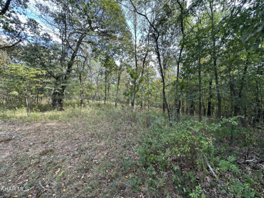 LOT 4 GLADE PIKE ESTATES, MANNS CHOICE, PA 15550, photo 4 of 8