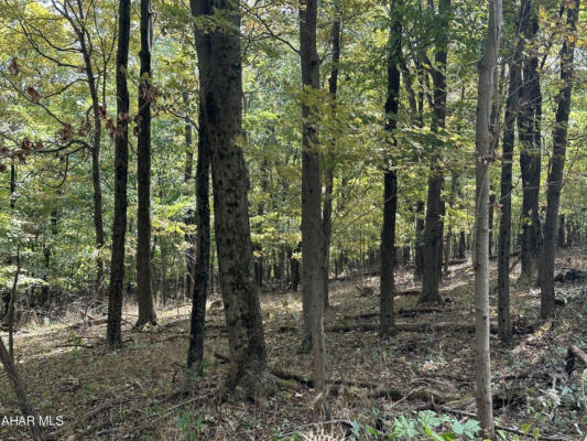 LOT 2 GLADE PIKE ESTATES, MANNS CHOICE, PA 15550, photo 2 of 9